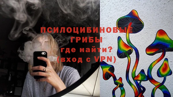 дурь Богородск