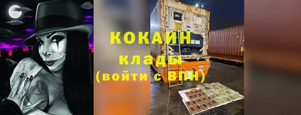дмт Богородицк