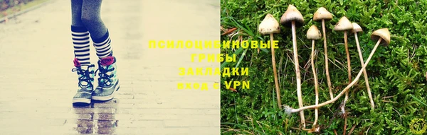 дмт Богородицк