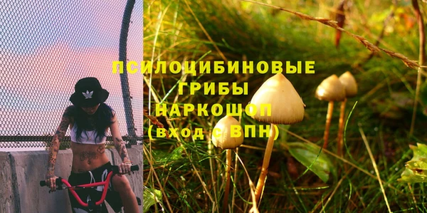 мдпв Верхнеуральск